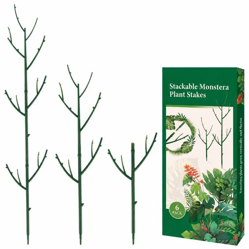 Stackable Monstera Plant Support Stakes — 6 Piece Set PLANT SUPPORT · PLANT CARE COLLECTION